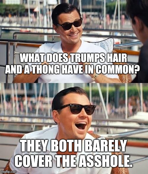 It took me way too long to find this template | WHAT DOES TRUMPS HAIR AND A THONG HAVE IN COMMON? THEY BOTH BARELY COVER THE ASSHOLE. | image tagged in memes,leonardo dicaprio wolf of wall street,politicstoo,trump,thongs | made w/ Imgflip meme maker