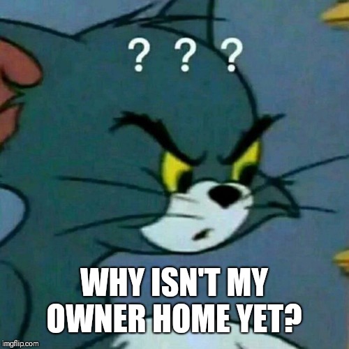 WHY ISN'T MY OWNER HOME YET? | made w/ Imgflip meme maker