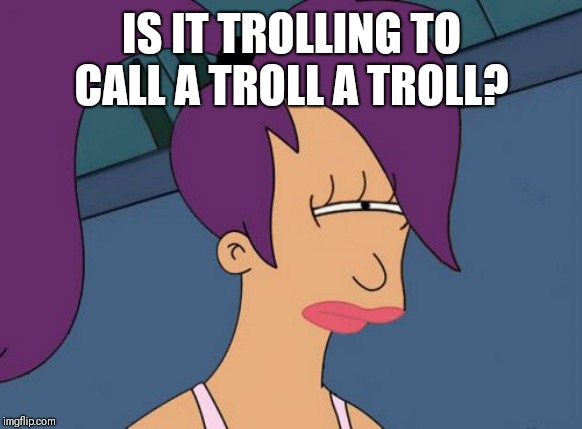 Futurama Leela Meme | IS IT TROLLING TO CALL A TROLL A TROLL? | image tagged in memes,futurama leela | made w/ Imgflip meme maker