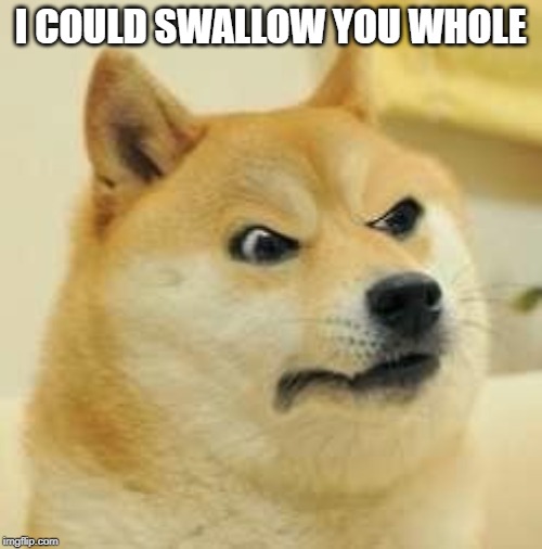 angry doge | I COULD SWALLOW YOU WHOLE | image tagged in angry doge | made w/ Imgflip meme maker