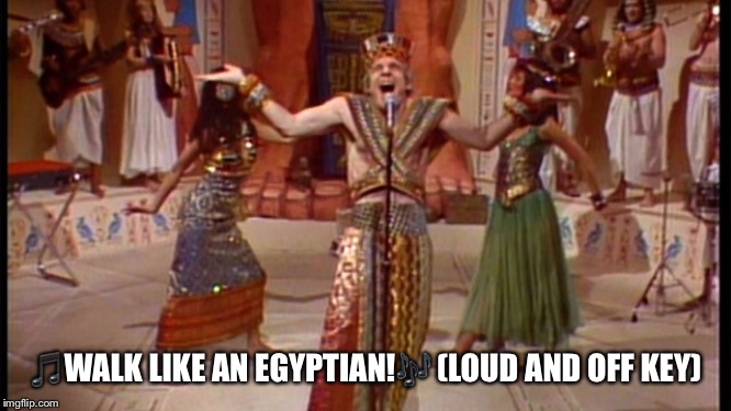 🎵WALK LIKE AN EGYPTIAN!🎶 (LOUD AND OFF KEY) | image tagged in steve martin,egypt,pop music,80s | made w/ Imgflip meme maker