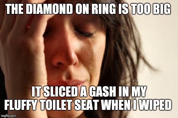 First World Problems Meme | THE DIAMOND ON RING IS TOO BIG; IT SLICED A GASH IN MY FLUFFY TOILET SEAT WHEN I WIPED | image tagged in memes,first world problems | made w/ Imgflip meme maker