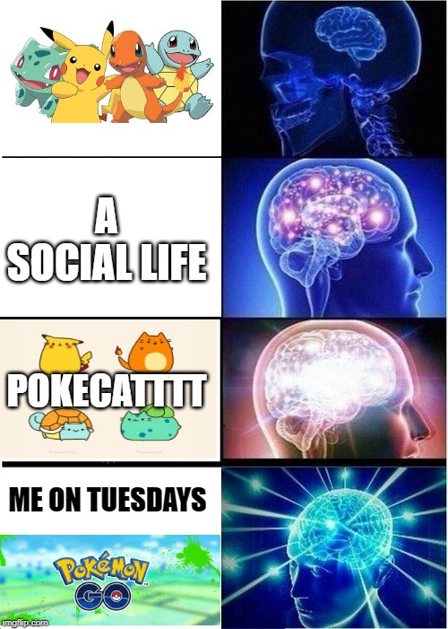 Expanding Brain | A SOCIAL LIFE; POKECATTTT; ME ON TUESDAYS | image tagged in memes,expanding brain | made w/ Imgflip meme maker