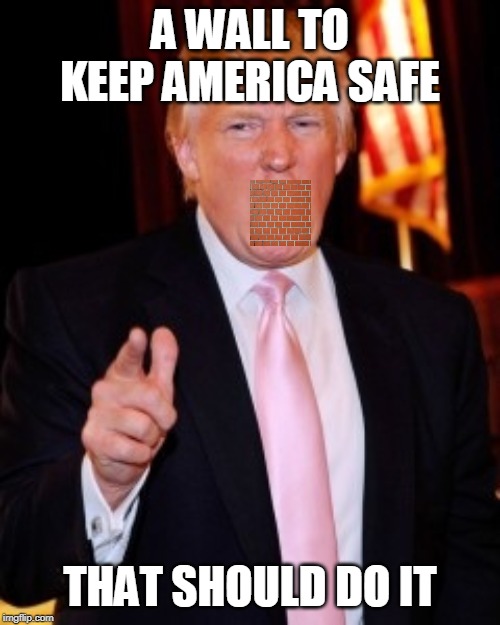 Donald Trump | A WALL TO KEEP AMERICA SAFE; THAT SHOULD DO IT | image tagged in donald trump | made w/ Imgflip meme maker