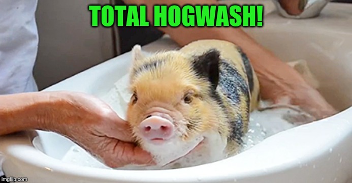 TOTAL HOGWASH! | made w/ Imgflip meme maker