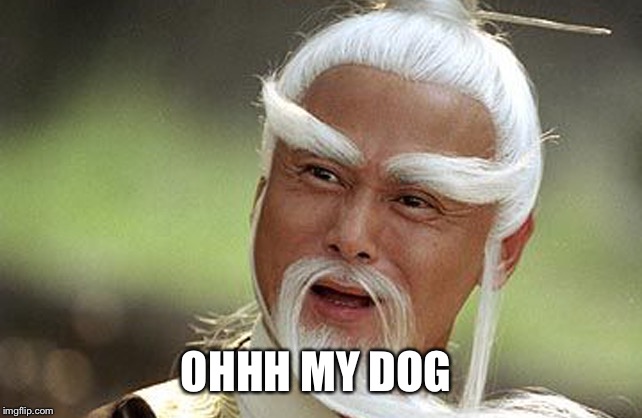 Wise Man Is Impressed | OHHH MY DOG | image tagged in wise man is impressed | made w/ Imgflip meme maker