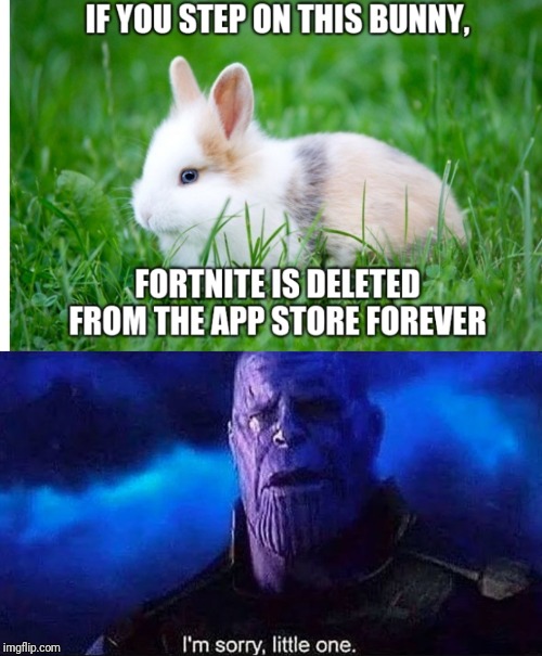 I'm sorry, little one. | image tagged in thanos snap | made w/ Imgflip meme maker