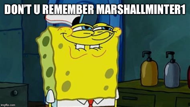 You like don’t you | DON’T U REMEMBER MARSHALLMINTER1 | image tagged in you like dont you | made w/ Imgflip meme maker