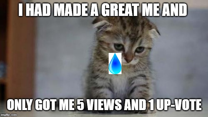 Sad kitten | I HAD MADE A GREAT ME AND; ONLY GOT ME 5 VIEWS AND 1 UP-VOTE | image tagged in sad kitten | made w/ Imgflip meme maker