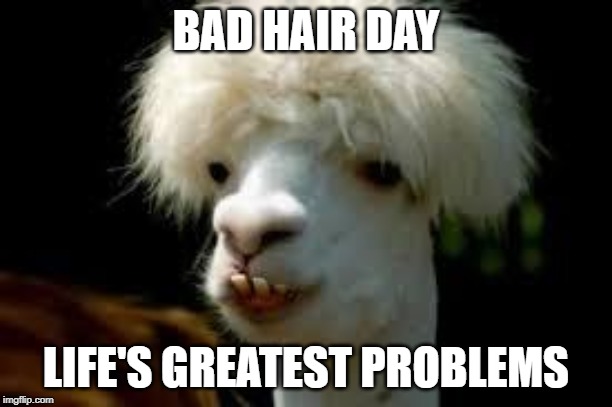 bad hair day llama | BAD HAIR DAY; LIFE'S GREATEST PROBLEMS | image tagged in bad hair day llama | made w/ Imgflip meme maker