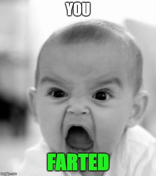 Angry Baby Meme | YOU; FARTED | image tagged in memes,angry baby | made w/ Imgflip meme maker