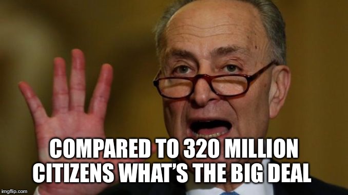 Chuck Schumer | COMPARED TO 320 MILLION CITIZENS WHAT’S THE BIG DEAL | image tagged in chuck schumer | made w/ Imgflip meme maker