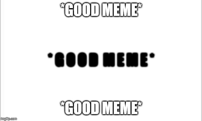 KILL ME | *GOOD MEME*; * G O O D  M E M E *; *GOOD MEME* | image tagged in white background,please kill me,good meme | made w/ Imgflip meme maker