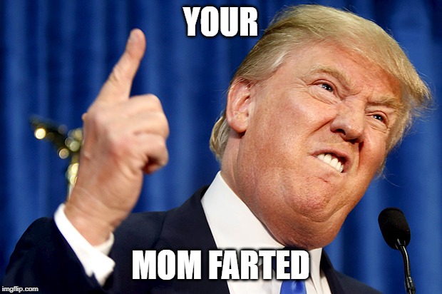 Donald Trump | YOUR; MOM FARTED | image tagged in donald trump | made w/ Imgflip meme maker