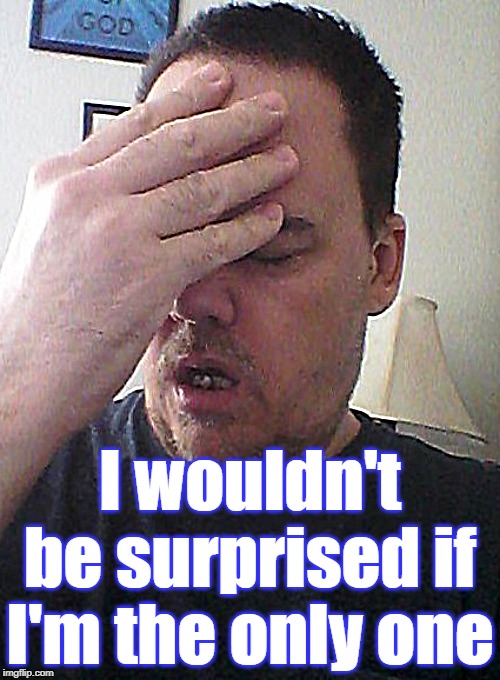 face palm | I wouldn't be surprised if I'm the only one | image tagged in face palm | made w/ Imgflip meme maker