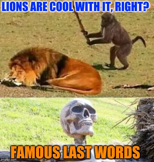FAMOUS LAST WORDS LIONS ARE COOL WITH IT, RIGHT? | image tagged in memes,waiting skeleton,monkey lion | made w/ Imgflip meme maker