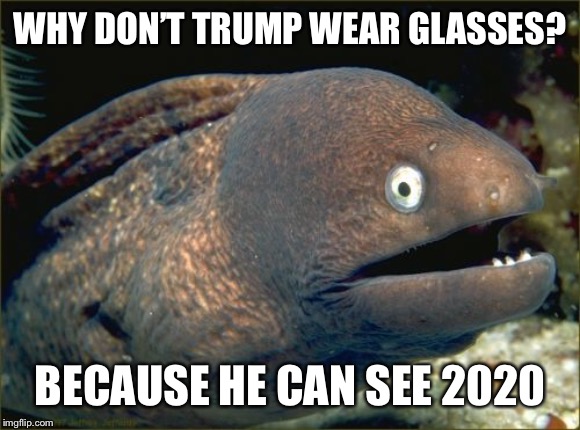It’s a joke. | WHY DON’T TRUMP WEAR GLASSES? BECAUSE HE CAN SEE 2020 | image tagged in memes,bad joke eel,trump | made w/ Imgflip meme maker