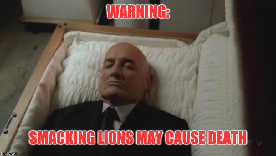 Memes, Coffin, Dead Man | WARNING: SMACKING LIONS MAY CAUSE DEATH | image tagged in memes coffin dead man | made w/ Imgflip meme maker
