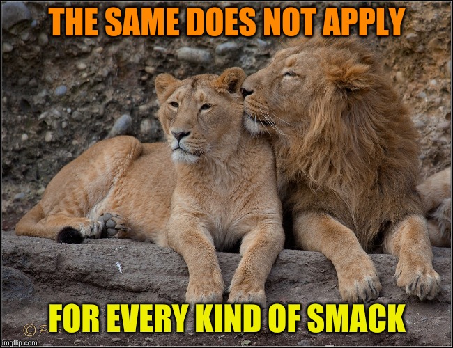 THE SAME DOES NOT APPLY FOR EVERY KIND OF SMACK | made w/ Imgflip meme maker