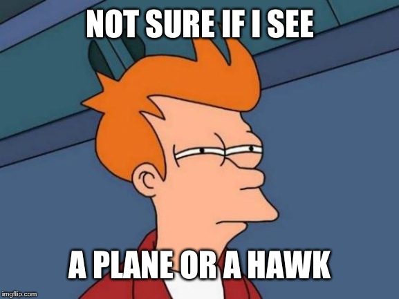 Vision can be blurry sometimes | NOT SURE IF I SEE; A PLANE OR A HAWK | image tagged in memes,futurama fry | made w/ Imgflip meme maker