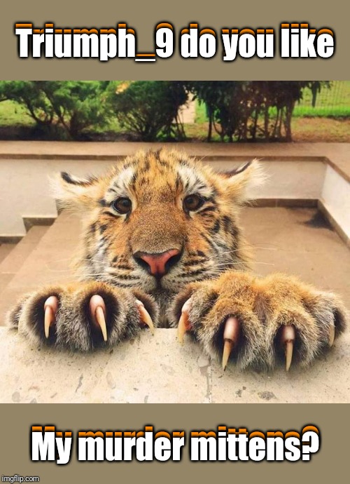 Triumph_9 do you like My murder mittens? Triumph_9 do you like My murder mittens? | made w/ Imgflip meme maker