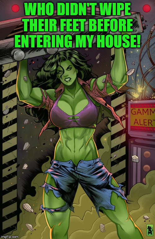 She-Hulk | WHO DIDN'T WIPE THEIR FEET BEFORE ENTERING MY HOUSE! | image tagged in she-hulk | made w/ Imgflip meme maker