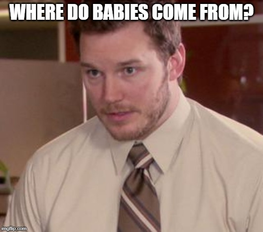 Afraid To Ask Andy (Closeup) Meme | WHERE DO BABIES COME FROM? | image tagged in memes,afraid to ask andy closeup | made w/ Imgflip meme maker