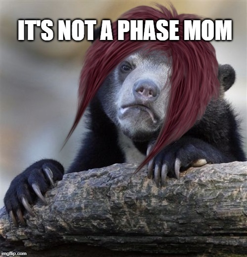 -bear- is evolving! | IT'S NOT A PHASE MOM | image tagged in bear,emo,it's not a phase mom | made w/ Imgflip meme maker