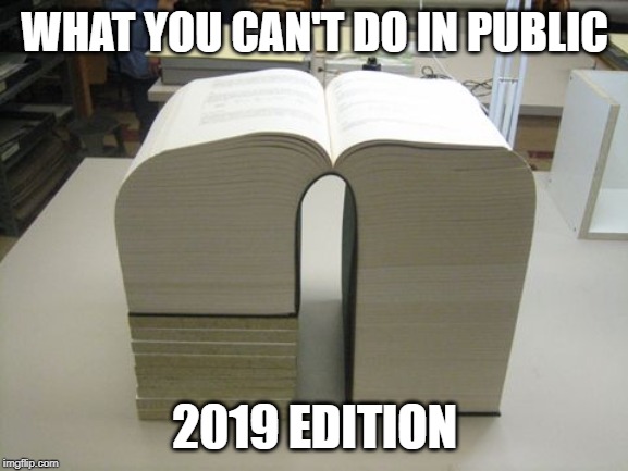 WHAT YOU CAN'T DO IN PUBLIC; 2019 EDITION | made w/ Imgflip meme maker