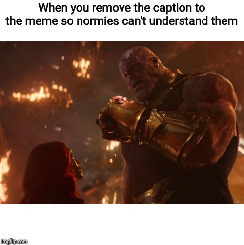 Deleting the captions | When you remove the caption to the meme so normies can't understand them | image tagged in now reality can be whatever i want | made w/ Imgflip meme maker