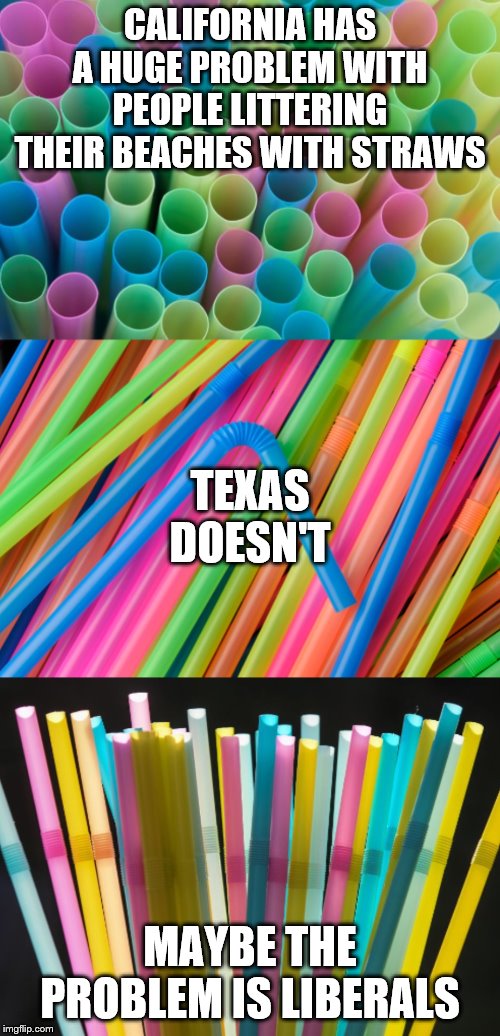 It always amazes me that the people who scream and cry about the environment are the first to destroy it. | CALIFORNIA HAS A HUGE PROBLEM WITH PEOPLE LITTERING THEIR BEACHES WITH STRAWS; TEXAS DOESN'T; MAYBE THE PROBLEM IS LIBERALS | image tagged in politics,straws,liberal hypocrisy,california,texas,environment | made w/ Imgflip meme maker