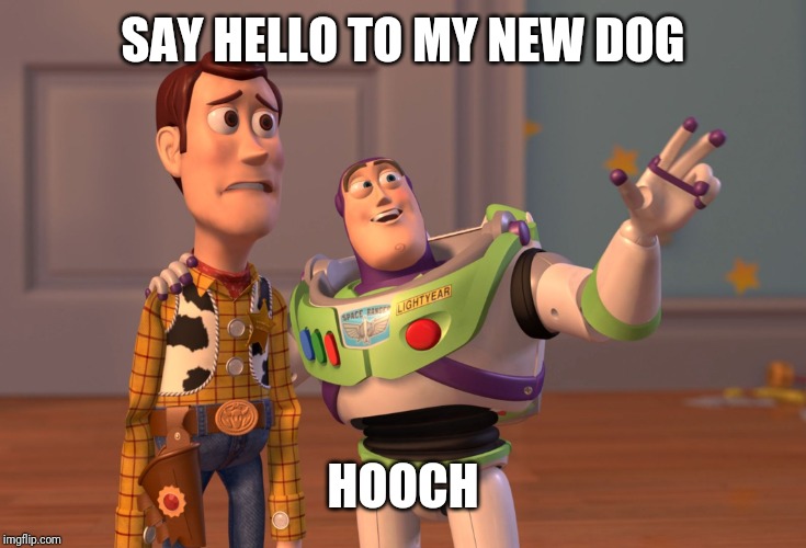 X, X Everywhere Meme | SAY HELLO TO MY NEW DOG; HOOCH | image tagged in memes,x x everywhere | made w/ Imgflip meme maker