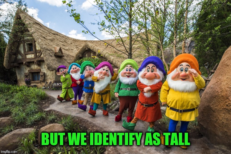 Seven Democrats | BUT WE IDENTIFY AS TALL | image tagged in seven dwarves | made w/ Imgflip meme maker