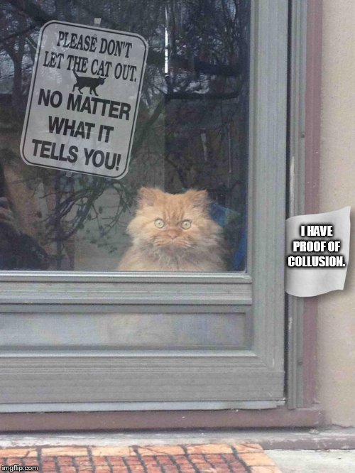 It's a trap! | I HAVE PROOF OF COLLUSION. | image tagged in cat no matter | made w/ Imgflip meme maker