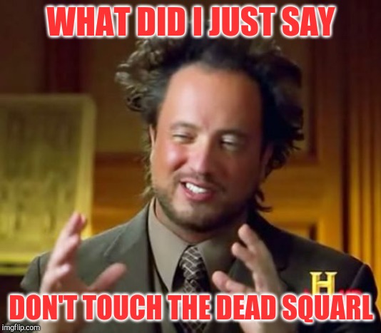 Ancient Aliens Meme | WHAT DID I JUST SAY; DON'T TOUCH THE DEAD SQUARL | image tagged in memes,ancient aliens | made w/ Imgflip meme maker