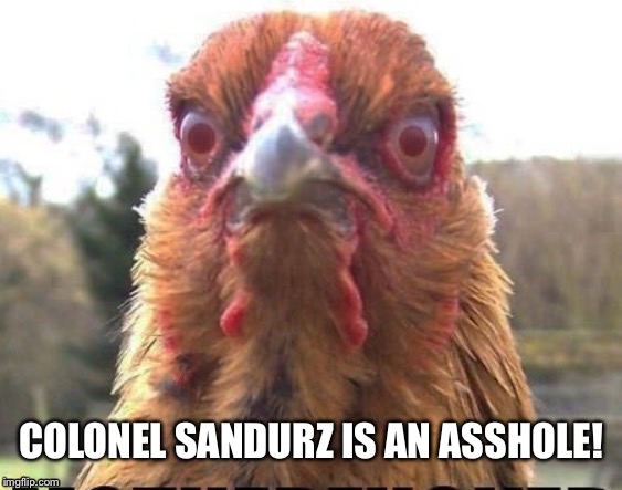 What are you... chicken? | COLONEL SANDURZ IS AN ASSHOLE! | image tagged in spaceballs | made w/ Imgflip meme maker