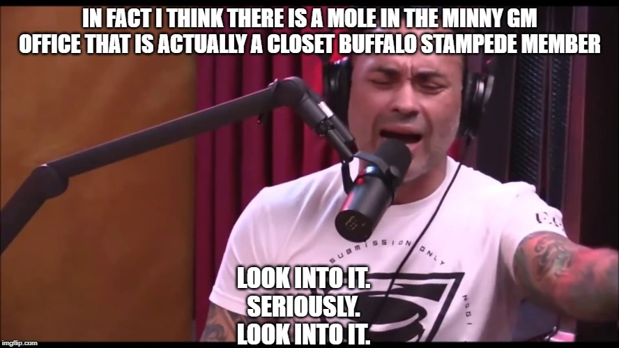 IN FACT I THINK THERE IS A MOLE IN THE MINNY GM OFFICE THAT IS ACTUALLY A CLOSET BUFFALO STAMPEDE MEMBER; LOOK INTO IT.
SERIOUSLY.
LOOK INTO IT. | made w/ Imgflip meme maker