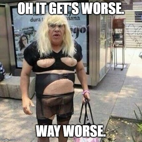 Ugly guy | OH IT GET'S WORSE. WAY WORSE. | image tagged in tranny | made w/ Imgflip meme maker
