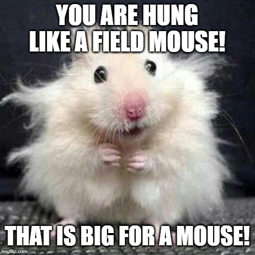 Stressed Mouse | YOU ARE HUNG LIKE A FIELD MOUSE! THAT IS BIG FOR A MOUSE! | image tagged in stressed mouse | made w/ Imgflip meme maker