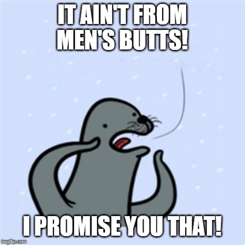 gay seal | IT AIN'T FROM MEN'S BUTTS! I PROMISE YOU THAT! | image tagged in gay seal | made w/ Imgflip meme maker