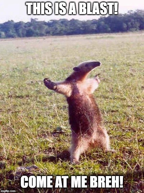 Fight me anteater | THIS IS A BLAST! COME AT ME BREH! | image tagged in fight me anteater | made w/ Imgflip meme maker