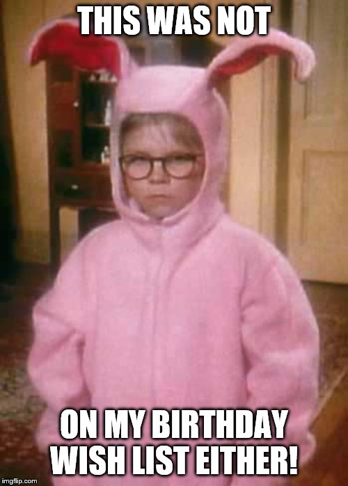 ralphiebunny | THIS WAS NOT; ON MY BIRTHDAY WISH LIST EITHER! | image tagged in ralphiebunny | made w/ Imgflip meme maker