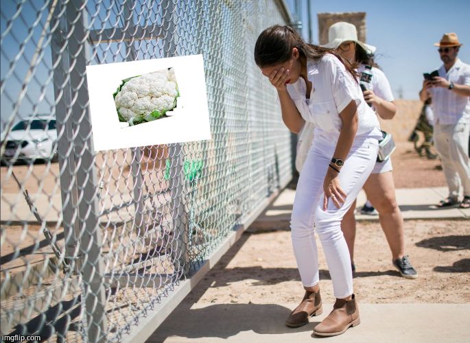 The five year old child in me agrees. | image tagged in aoc discovers the existence of fences,aoc,alexandria ocasio-cortez,cauliflower,tears of rage,colonialism | made w/ Imgflip meme maker