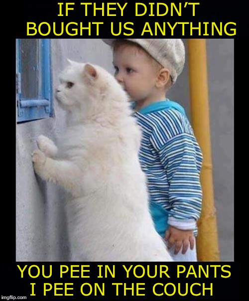 IF THEY DIDN’T 
BOUGHT US ANYTHING; YOU PEE IN YOUR PANTS 
I PEE ON THE COUCH | image tagged in memes | made w/ Imgflip meme maker