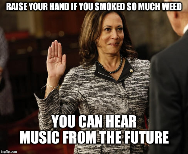 Kamala Harris smokes weed | RAISE YOUR HAND IF YOU SMOKED SO MUCH WEED; YOU CAN HEAR MUSIC FROM THE FUTURE | image tagged in kamala harris,weed,lying politician,marijuana,political meme | made w/ Imgflip meme maker