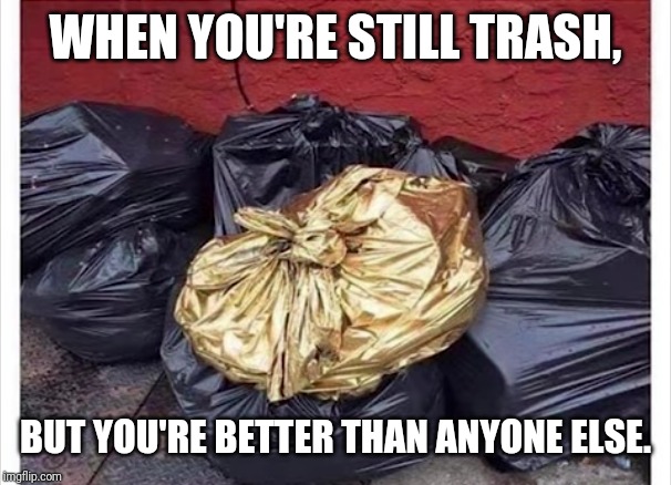 Best trash | WHEN YOU'RE STILL TRASH, BUT YOU'RE BETTER THAN ANYONE ELSE. | image tagged in best trash | made w/ Imgflip meme maker
