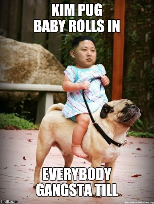 what? | KIM PUG BABY ROLLS IN; EVERYBODY GANGSTA TILL | image tagged in what,memes,funny,gifs | made w/ Imgflip meme maker