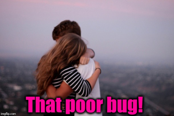 hug | That poor bug! | image tagged in hug | made w/ Imgflip meme maker
