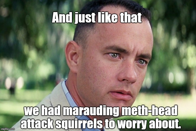 In Frostbite Falls they say Bullwinkle is to blame | And just like that; we had marauding meth-head attack squirrels to worry about. | image tagged in memes,and just like that,weird stuff,news | made w/ Imgflip meme maker