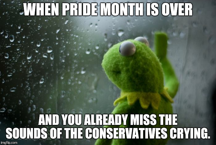 kermit window | WHEN PRIDE MONTH IS OVER; AND YOU ALREADY MISS THE SOUNDS OF THE CONSERVATIVES CRYING. | image tagged in kermit window,stupid conservatives,lgbt,gay pride,pride | made w/ Imgflip meme maker